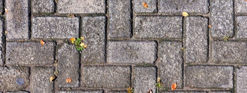 Bayraklı Parke Taşı Döşeme, Kilit Parke Taşı Döşeme Bayraklı, Bayraklı Parke Taşı Döşeme Firmaları, Kilit Parke Taşı Döşeme Firmaları Bayraklı, Bayraklı Parke Taşı Döşeme Fiyatları, Kilit Parke Taşı Döşeme Fiyatları Bayraklı